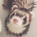 avatar . ̊ 𝒥𝑜𝓃𝒶𝓈𝟤𝓀 ｡ᰔ