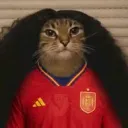 catto7605
