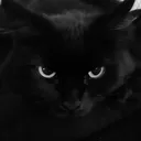 xsebascr