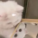 peachuu.
