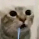 quivurr