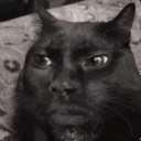 avatar fortunae