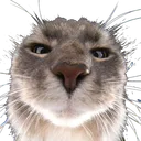 spadchad
