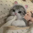 avatar тσхıcɢчααʟ