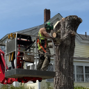 postgameblowy's Avatar