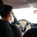 josepromedio