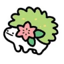 gesso__
