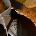 hdshtroya