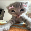 Discord Avatar