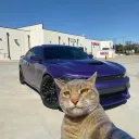 simotz75