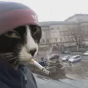 lowwwnikita