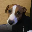 Аватар illia4117