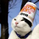 oatalicious avatar