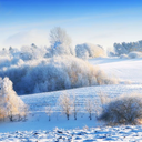 SoftlySnowing