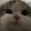 kim_m.