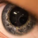 crennz
