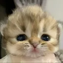 3reix