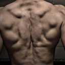 avatar Aleksandro 🌹 🇦🇱 🕋 🏴☝