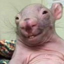 pr07on#6655's avatar