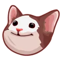 stormgrizli