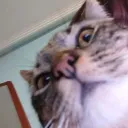 dinoazuul5