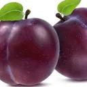 feening4plums.