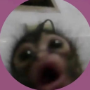 avatar abi