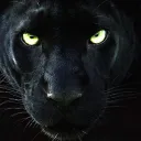 mastergamer_3609 avatar