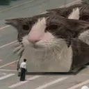 policemaster
