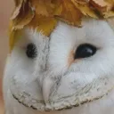 thelostlorekeeper