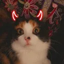 dragoncat127
