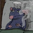 invdrzim13