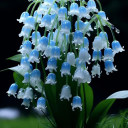 avatar Made In China