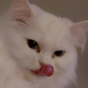 Profilbild för Backen