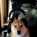 arfczi