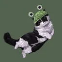 cozyeli