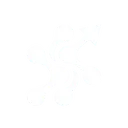 skhynixcjr
