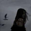 dz.kim