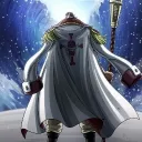 whitebeard0285