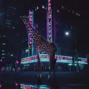 local__giraffe