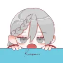kusa00528