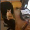 mr.marskey