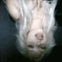 avatar ✧ 𝐭𝐡𝐞𝐢𝐚 𝐝𝐢𝐦𝐢 ♡