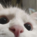 avatar ᵃᵍⁿᵉˢ