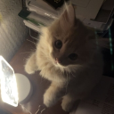 avatar ᵃᵍⁿᵉˢ