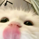 avatar ᵃᵍⁿᵉˢ