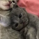 mwqmrrr