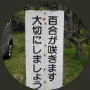 sakaisakai