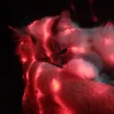 levi__xd