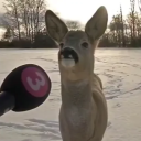 avatar Konstantin_AMG